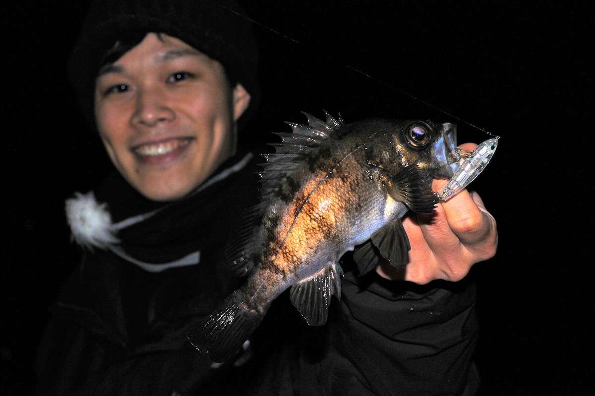 メバルのルアー釣りおすすめタックル23選｜仕掛け・釣り方も解説！