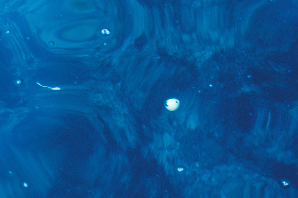 シェイク＆ポーズを組み合わせた漂わせる釣りの解説