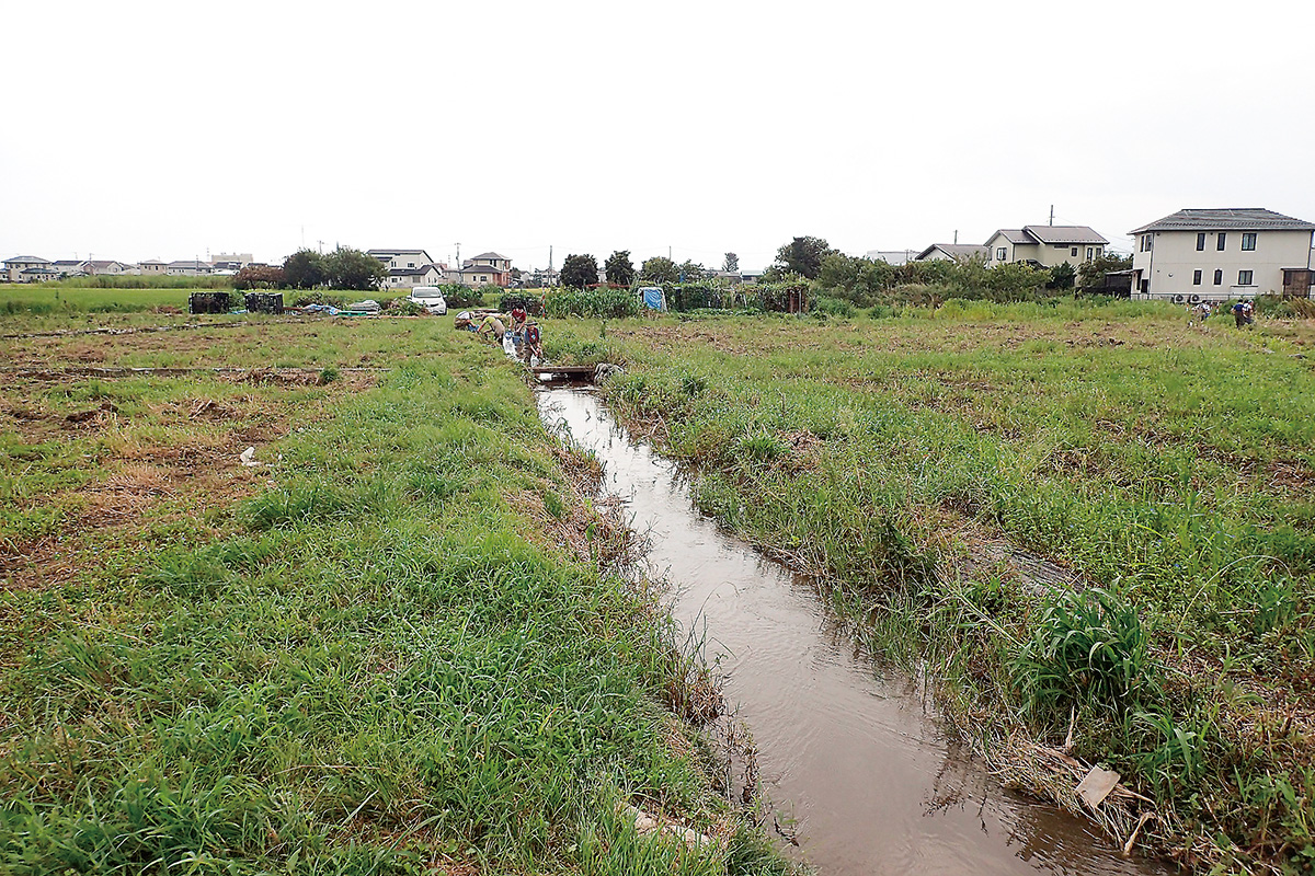ナマズが水田へ移動する用水路