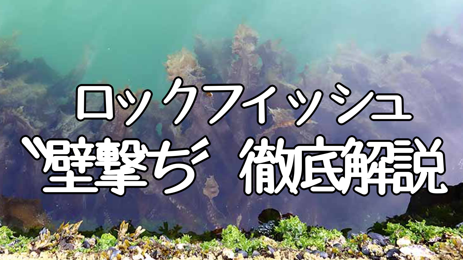 【北海道】ロックフィッシュ釣果アップの秘策！壁打ち釣りの魅力とテクニック