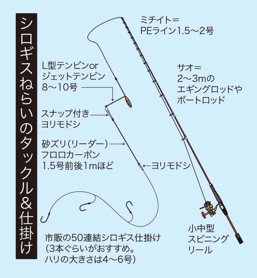 ワタリガニ釣り シロギス釣り カニ網釣法で食材ゲット 魚種別釣りガイド