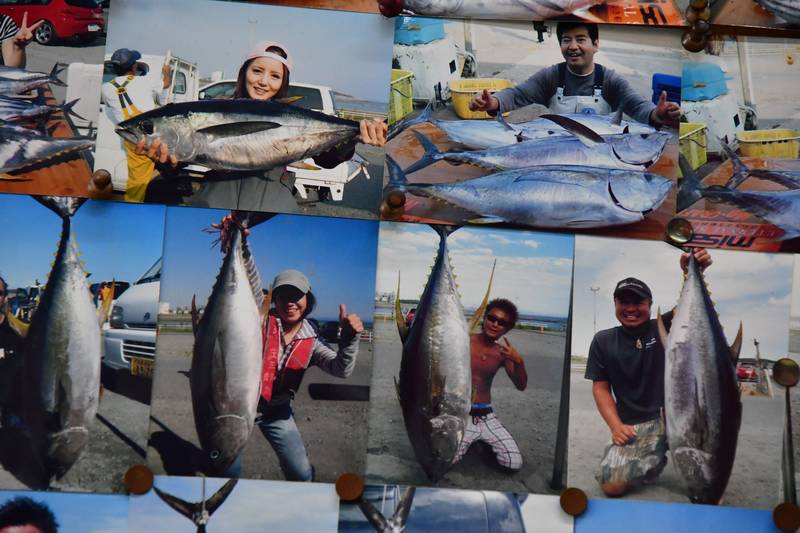 【はじめての相模湾キハダマグロ釣り・釣り方】釣果写真