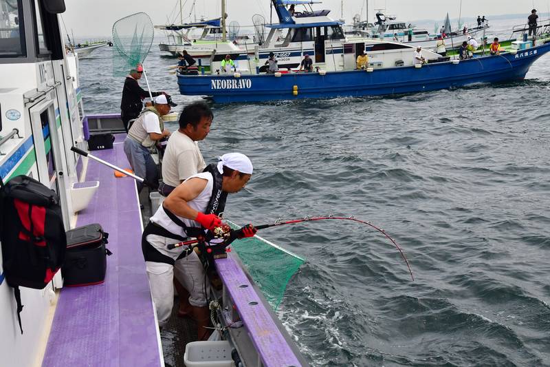 【はじめての相模湾キハダマグロ釣り・釣り方】カツオがヒット