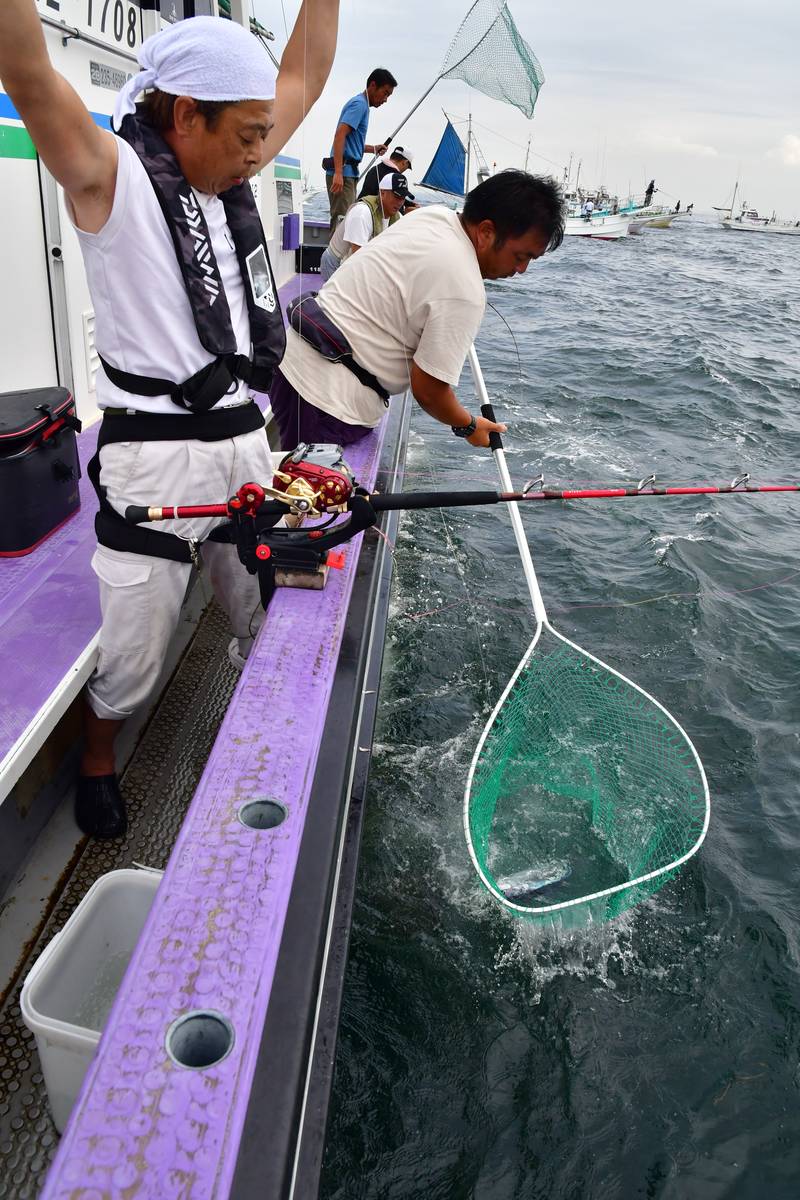 【はじめての相模湾キハダマグロ釣り・釣り方】最後は網ですくってもらう
