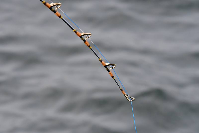 【はじめての相模湾キハダマグロ釣り・釣り方】キハダ用ロッドは繊細なティップを備えている