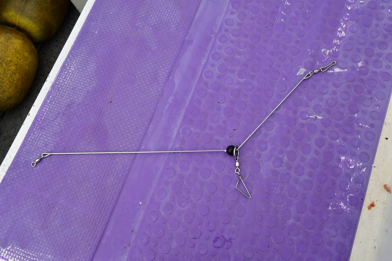 【はじめての相模湾キハダマグロ釣り・釣り方】遊動式テンビン