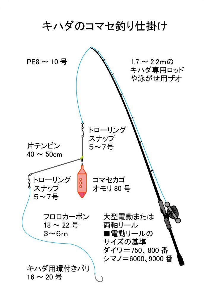 【はじめての相模湾キハダマグロ釣り・釣り方】キハダマグロ釣りの仕掛け