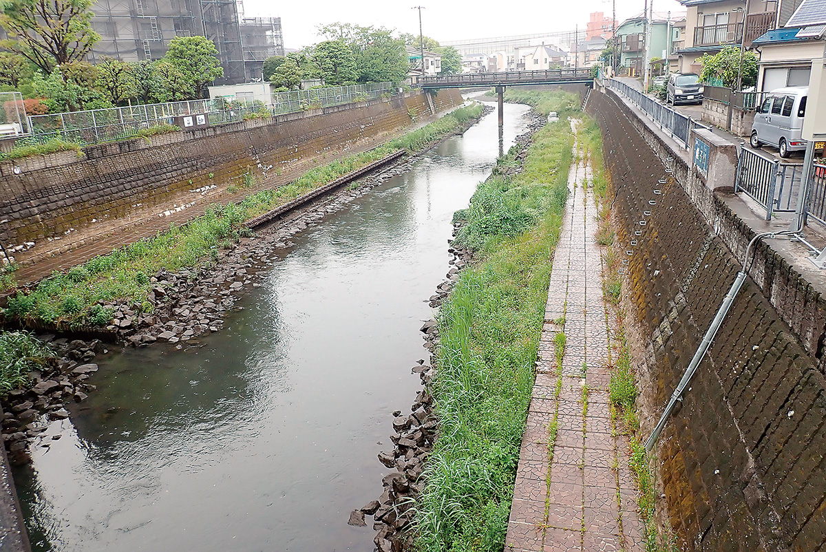 複断面化した都市河川