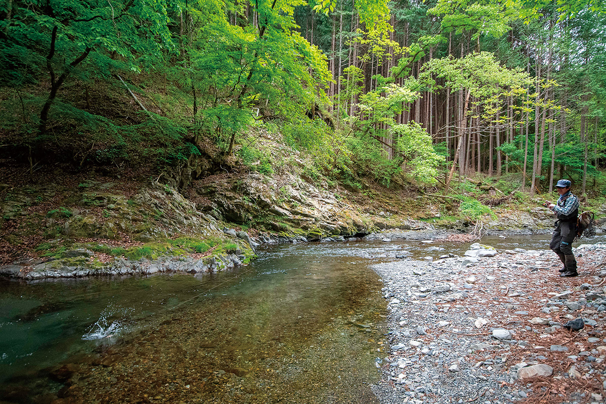 トラウトとのファイト