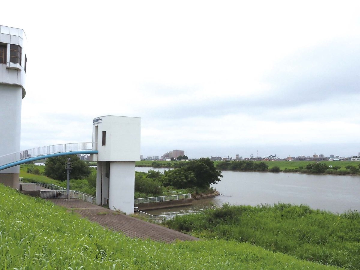 柳原水門から江戸川下流方向の眺め
