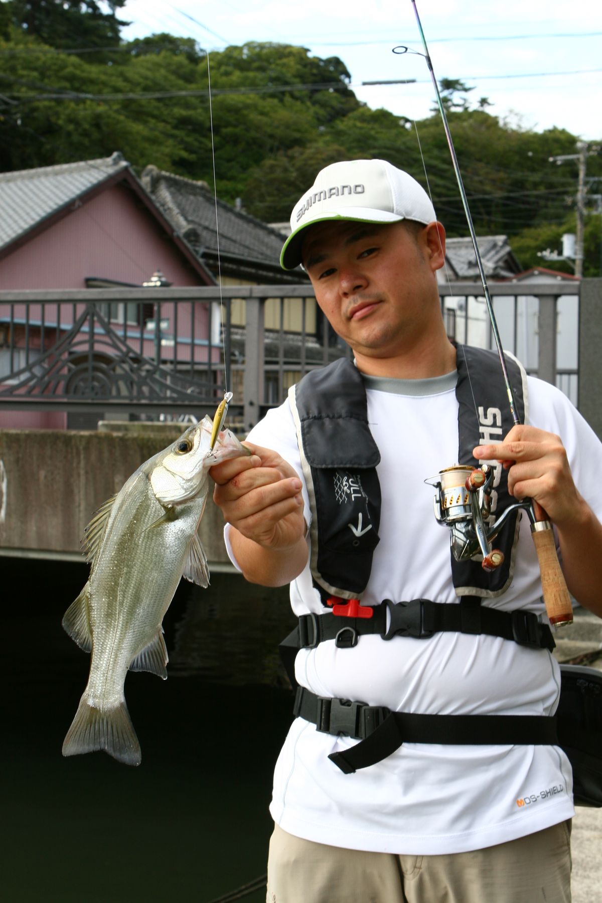 橋下のポイントを攻略してヒットしたセイゴ