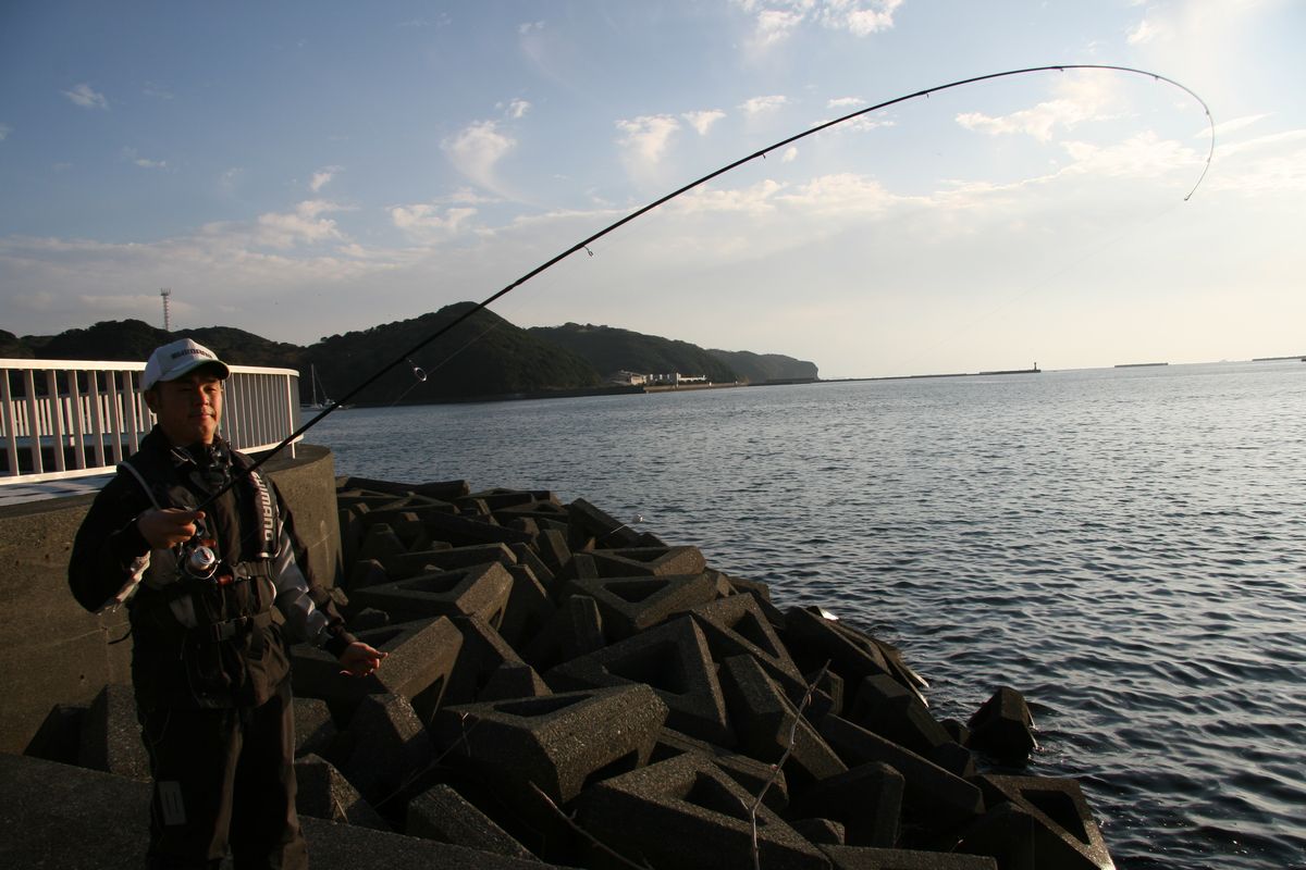 海のルアー釣りに必要なタックル ロッド編 魚種別釣りガイド