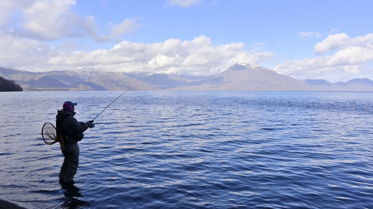 近年は傾向が変わってきている支笏湖のトラウト