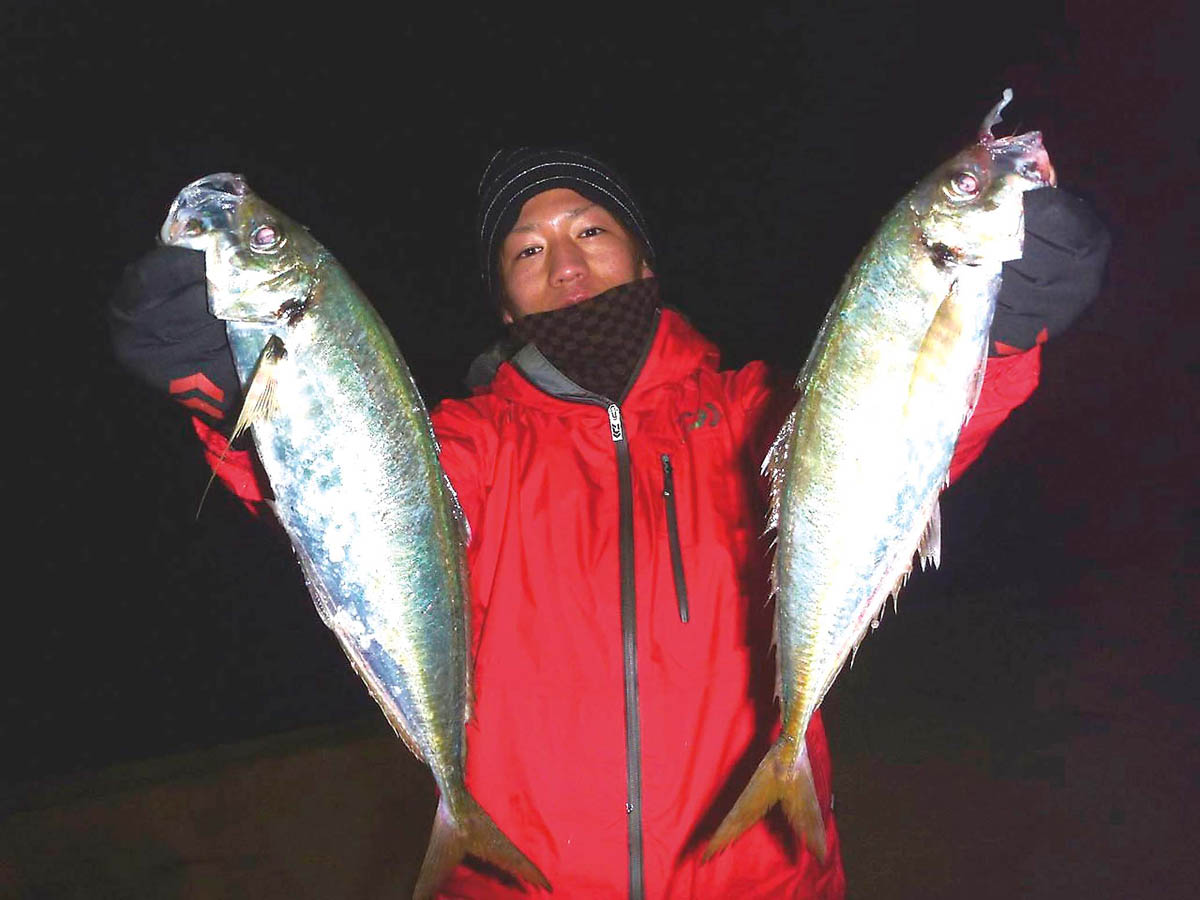 50cmオーバーのギガアジ