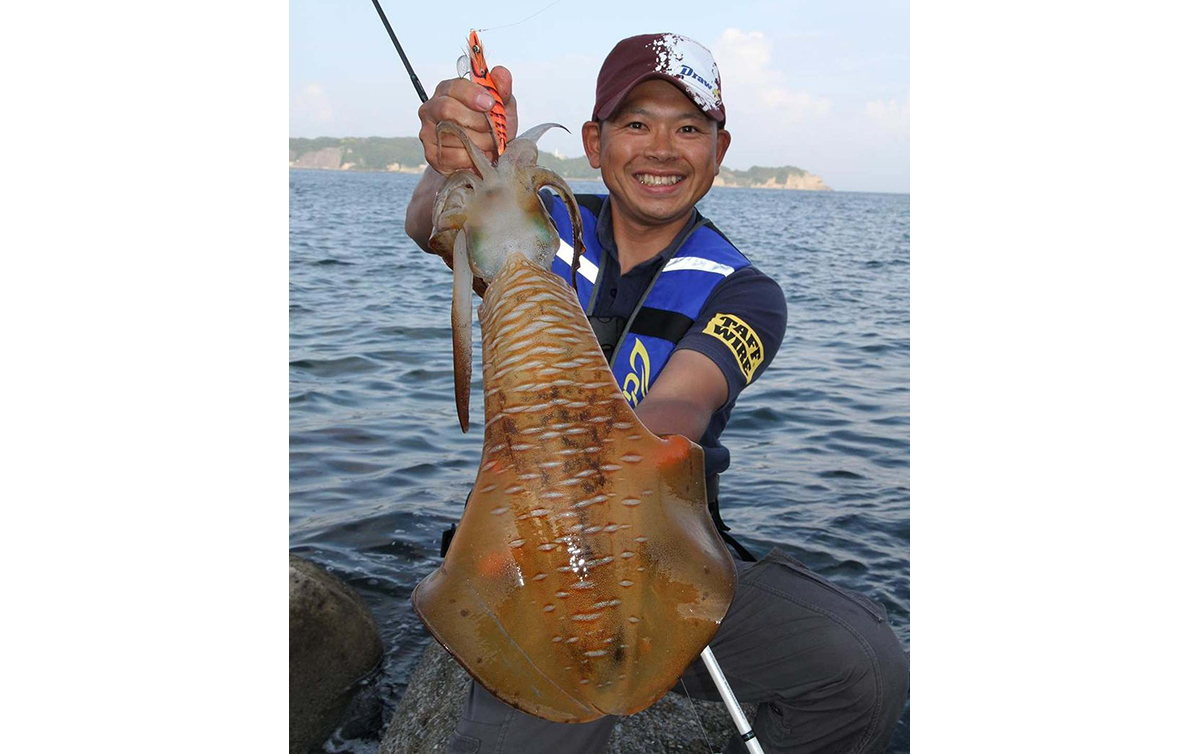 アオリイカ釣り 千葉県勝浦市 松部漁港 全国おすすめ釣り場