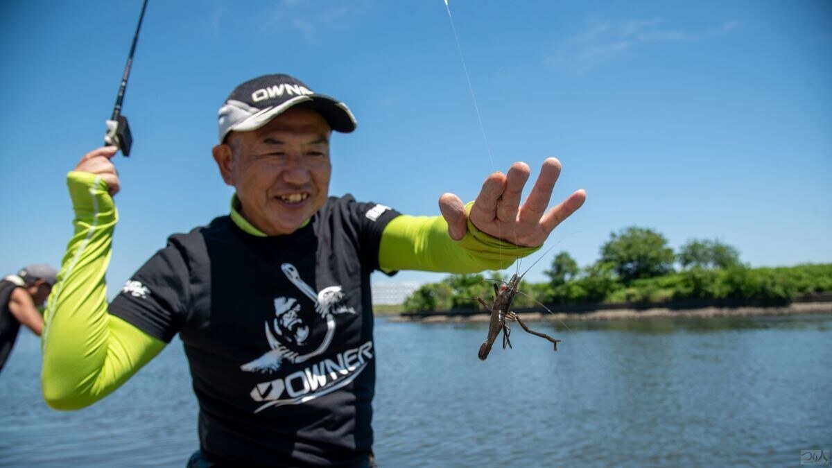 威嚇するようにハサミをもたげたジャンボサイズのオスの登場で大いに盛り上がる