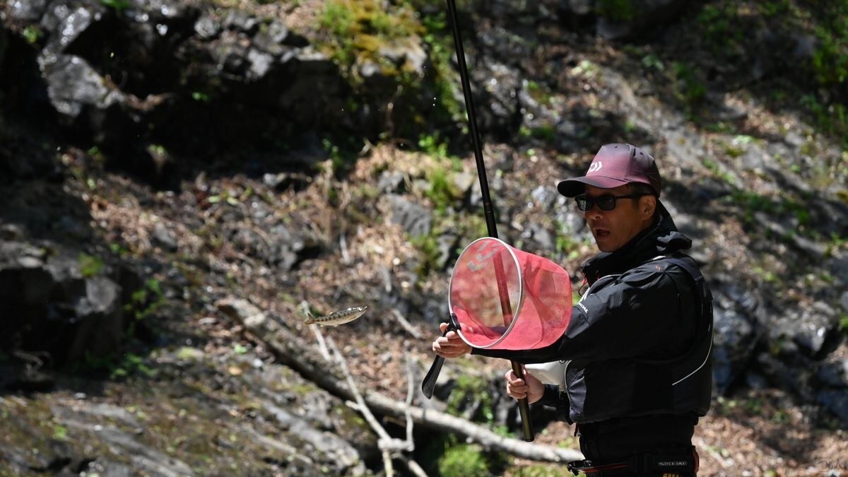 中津川の気難しいヤマメで千島さんは鍛えられた