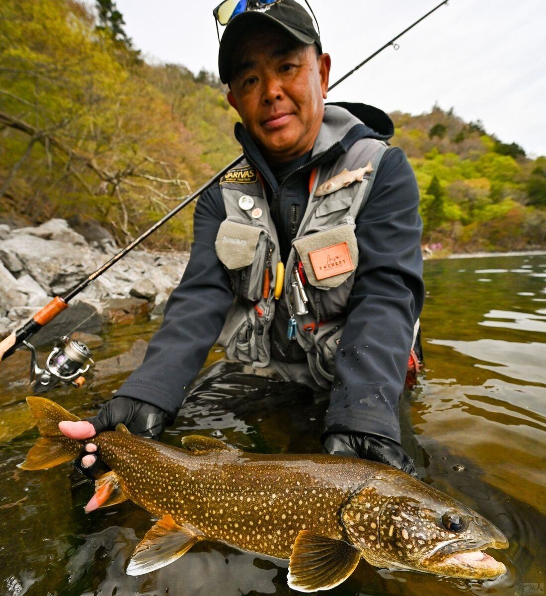 独特な模様と大きな口が爬虫類を彷彿とさせる魚だ