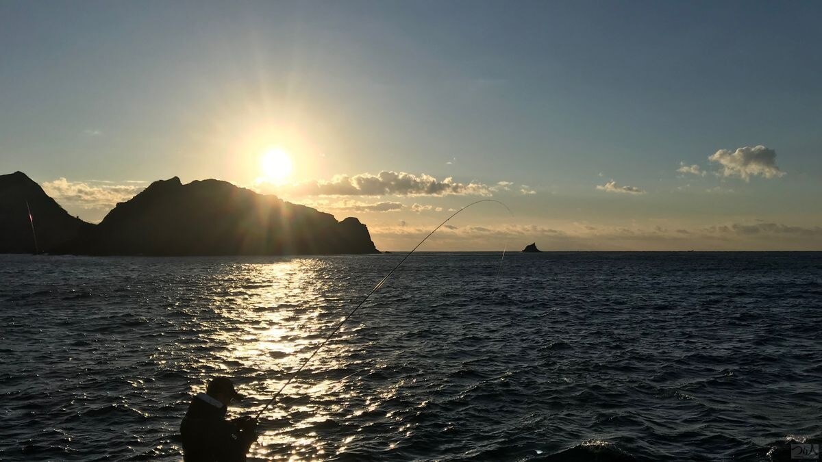 日が昇るたびに、自然は同じことを繰り返します