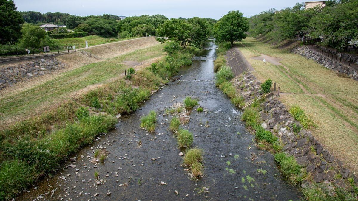 金山橋から下流を望む。右岸は東京都清瀬市、左岸は埼玉県所沢市。緑が多い癒しの風景が続く