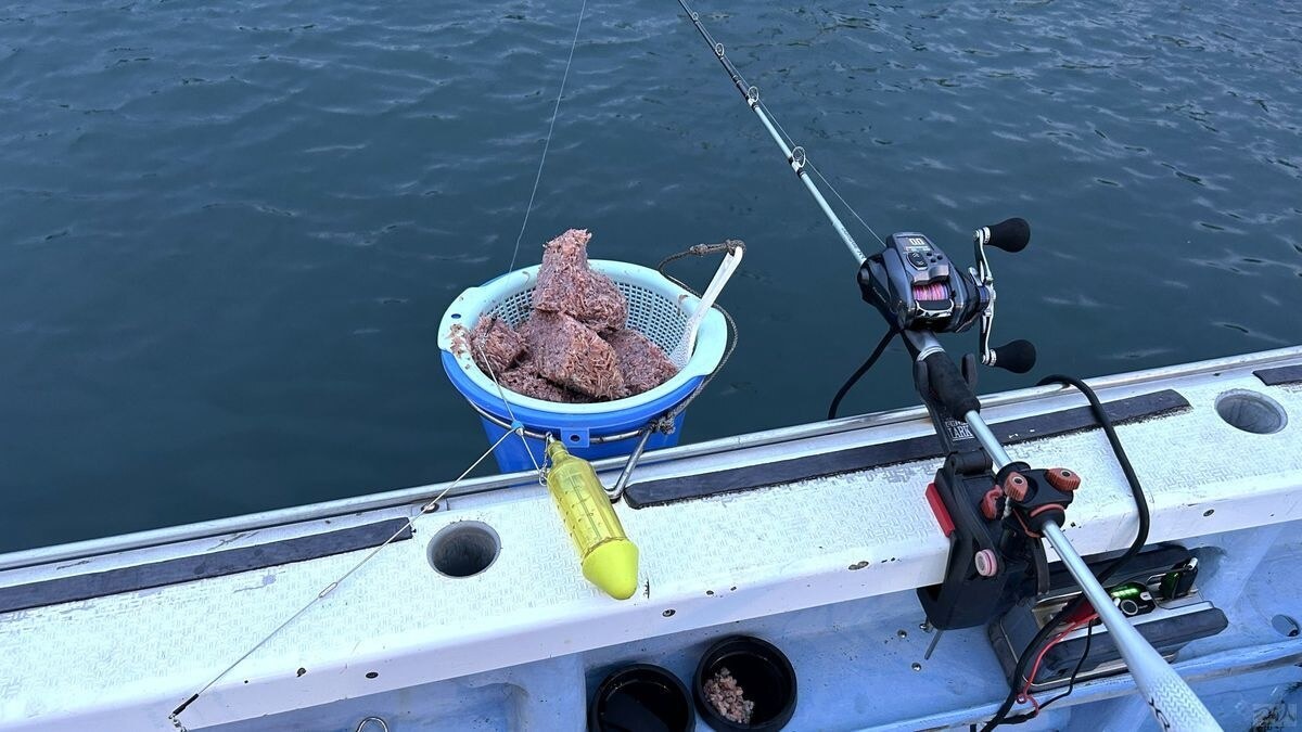 釣り座のセッティング。リールは手巻きでも対応できるが深場をねらうこともあるので電動がベター。プラカゴはアミ用・イサキ釣り用の60号が南房総のイサキ釣りの標準だ