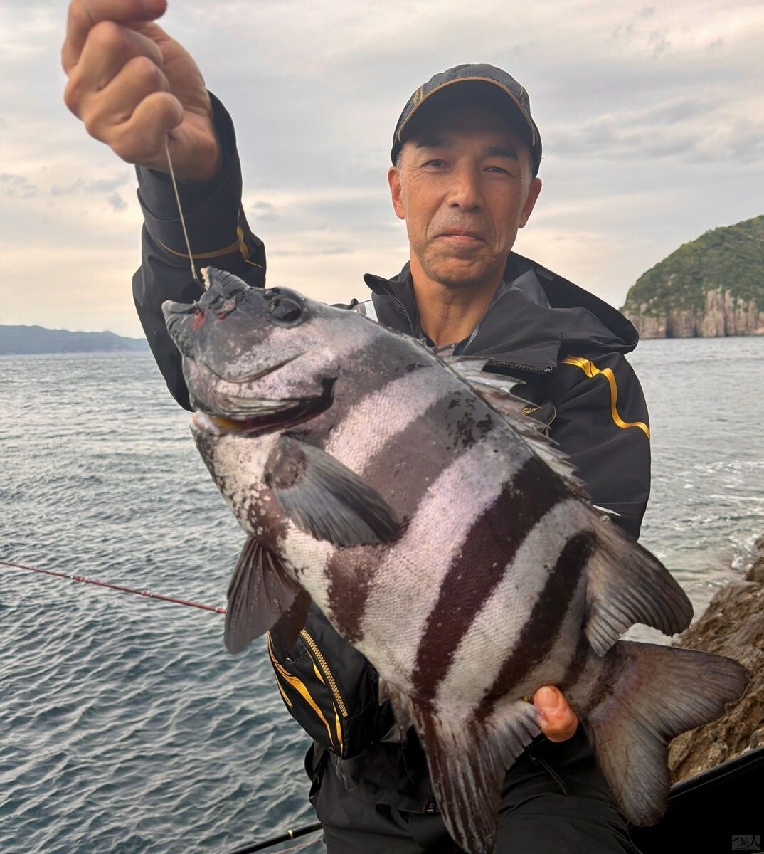 七本の縦縞がくっきりと浮かび上がった本イシダイ52cm。中ノ小島での釣り開始1時間ほどでキャッチした。スピニングタックルによる宙釣りという仮説が、早々に現実のものとなった