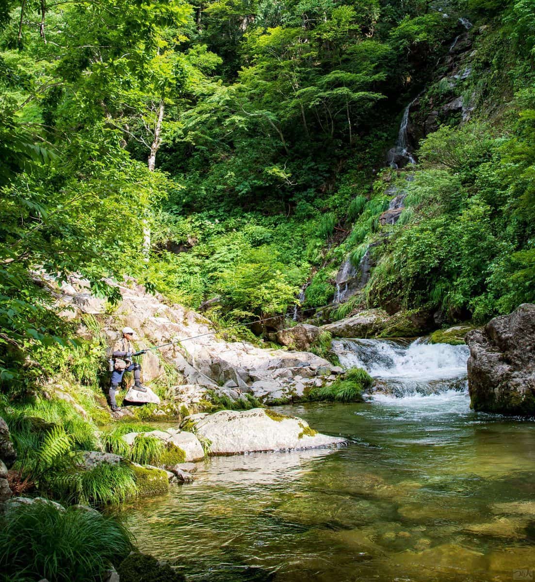 近くには渓流釣り場も多数あり。キャンプ場からほど近い木の根沢が人気