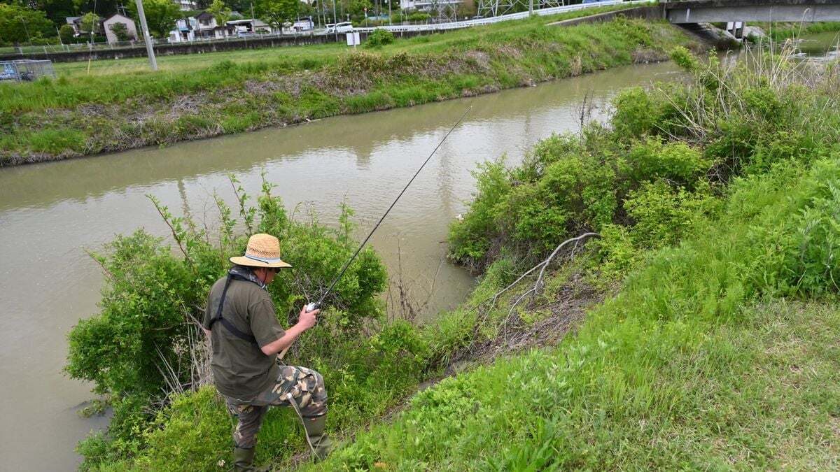 岸のブッシュが多い小規模河川はポイント豊富