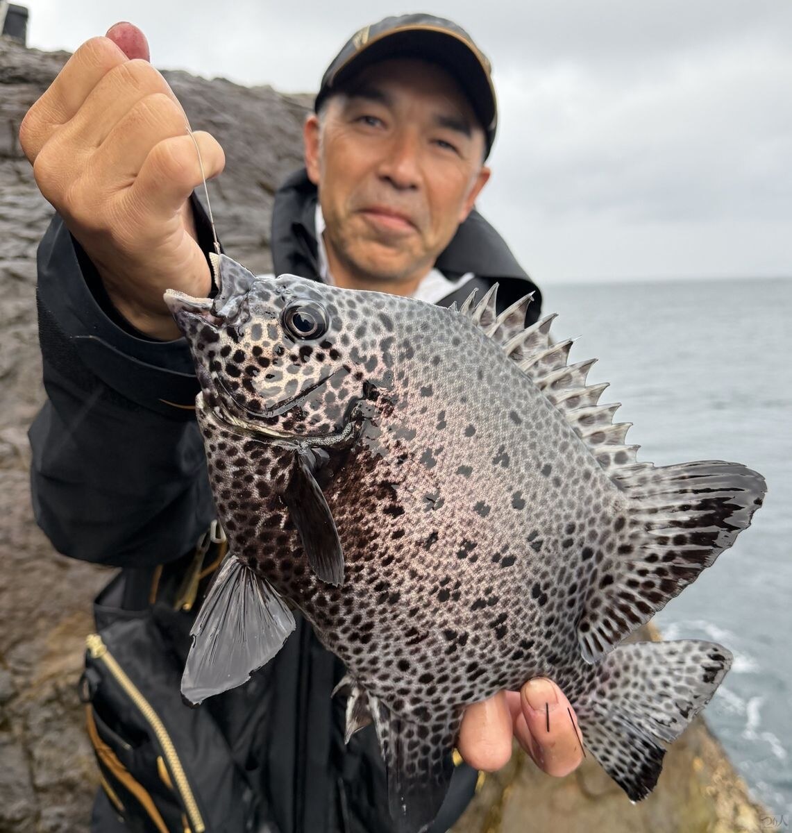 イシガキダイ約40cm。ホゲ島での釣り開始直後にウニに食ってきた。小型のイシガキダイがエサをついばむと判断し、この直後にトッポガニへエサを切り替えた。その判断が、クチグロへの道を開いた