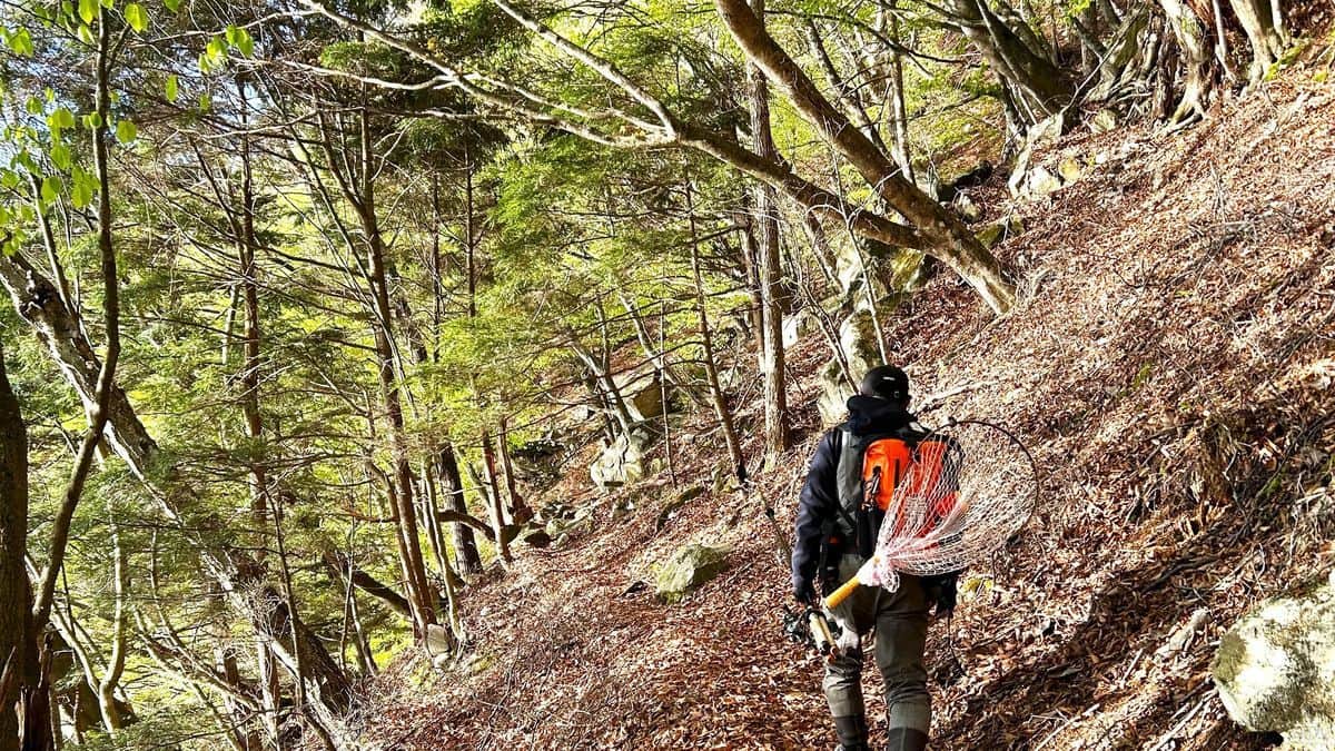周年禁漁区の境界である松ヶ崎。この日は魚が寄っていないようで山道を歩いてポイント移動