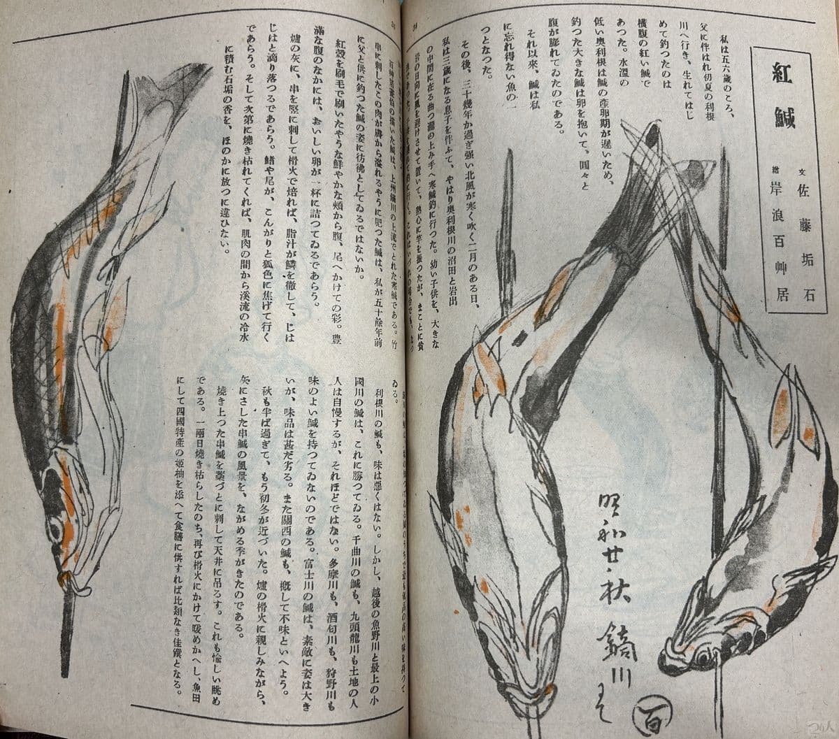 1946年10・11月合併号では佐藤垢石によるウグイの串焼きのエッセイが掲載された