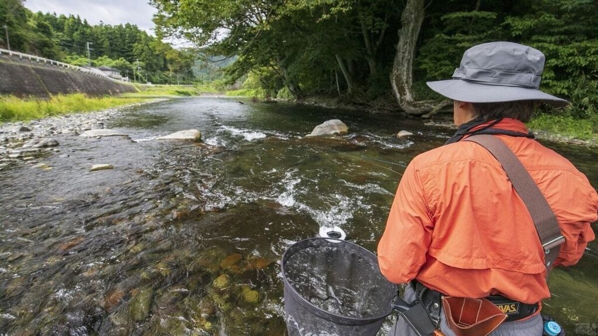 ダウンで近距離を釣るのがアユルアーの基本だ