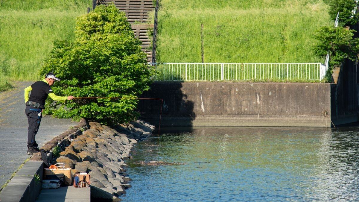 左岸の護岸は丸石がきれいに積まれたゴロタと階段状が交互する。どちらの反応がよいか確かめる長谷さん
