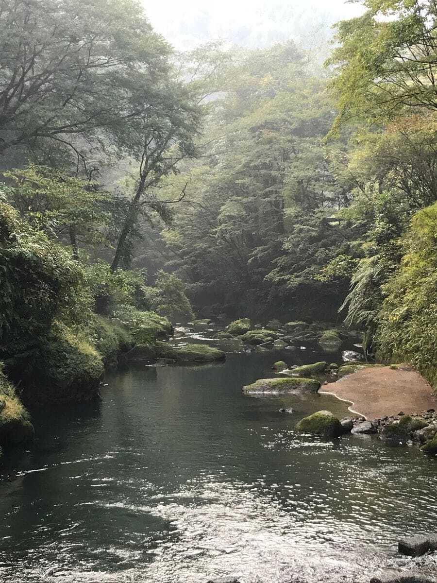 自然の中では、人は主役にはなれません