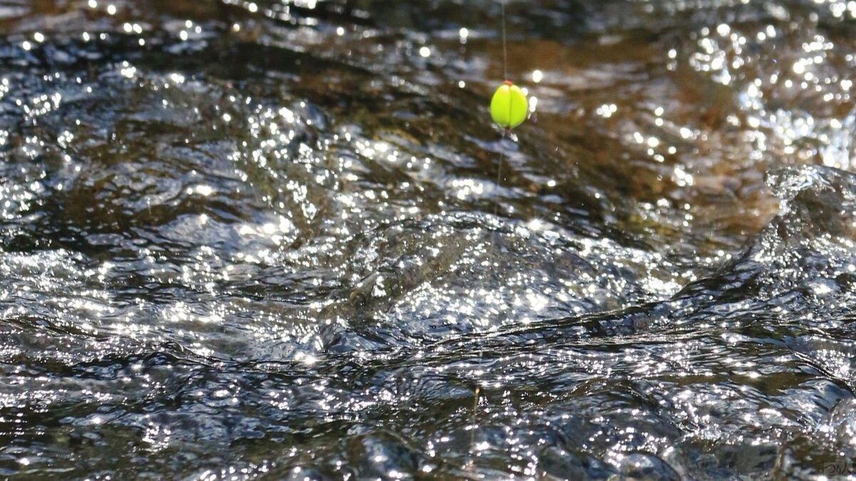 大きなオモリは水面に出ていても、オモリをポイントに留めておける拘束力がある