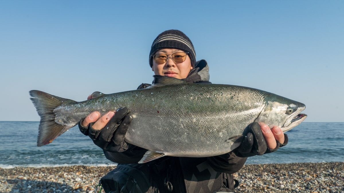 56cm2.6kgのサクラマスを釣りあげた『つり具センター屯田店』の秋元勇人さん。ヒットルアーは『ジオピックQR』34gのイワシ。「驚くほどアタリが明確でした」と話し、X9の性能を実感していたようす