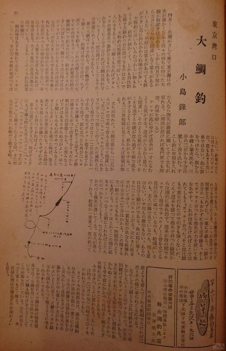 昭和25年4月号で登場したのは活イカを泳がせるイカ鯛