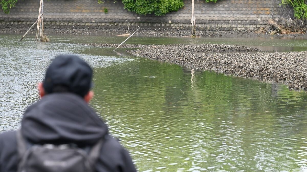 トップの釣りはシャローでこそ成立する。クロダイの背中が出てしまうほどの水深でも大丈夫。ブレイクや障害物の周りに投げたい