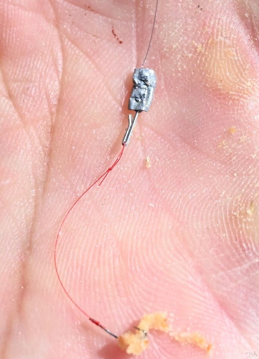 オカメが上ずってきたと感じた野崎さんは、沈むスピードをさらにゆっくりにするためオモリを調整。プライヤーでガン玉を外し、板オモリをハリス止メに巻いた