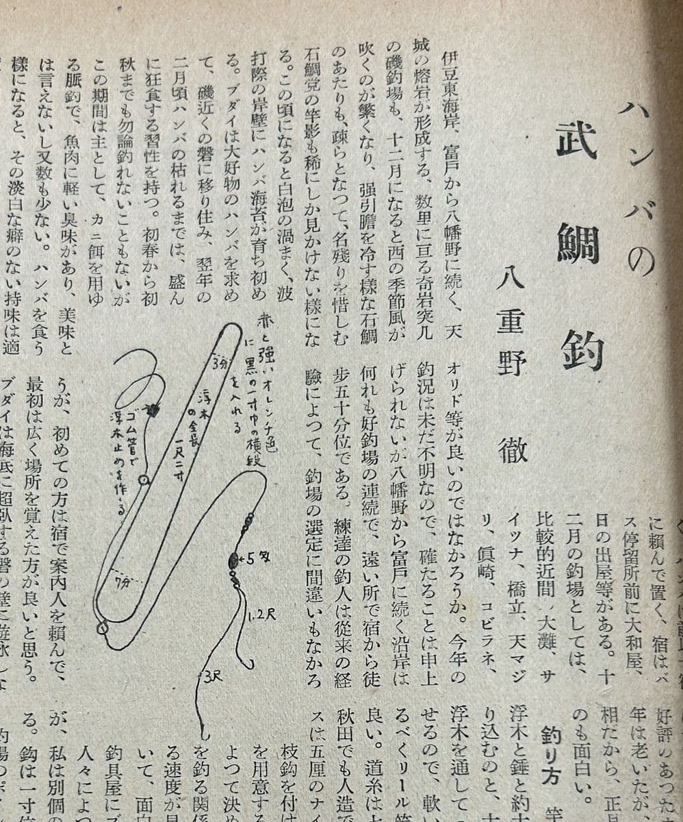 1950年12月号で紹介されたブダイのハンバ釣りとその仕掛け