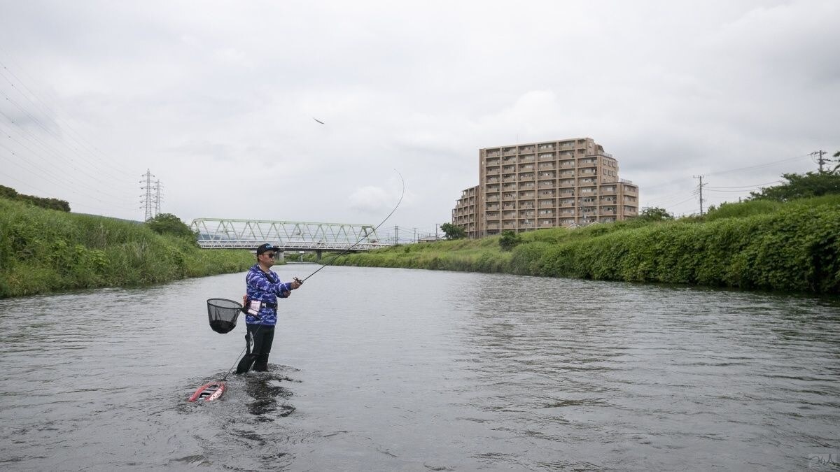 狩川もまた流れの変化が乏しい川相。しかし酒匂川よりも水温が高いのでアユの生育状況はよい