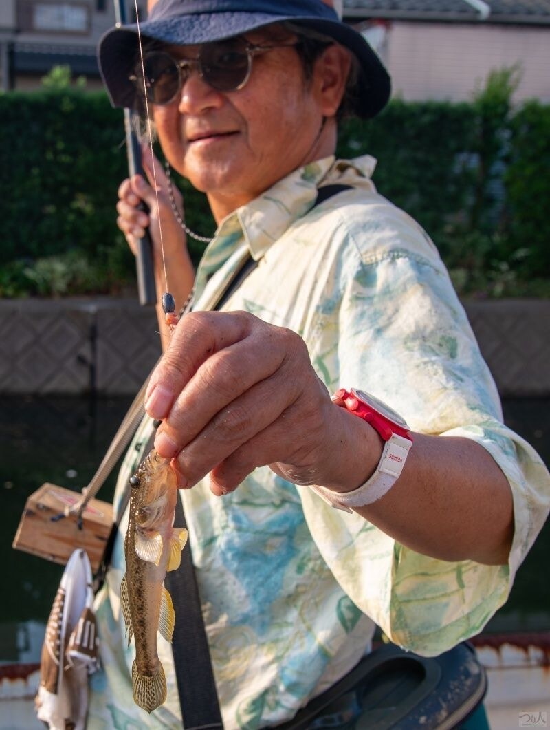 小突いたあとのラインがたるんだ状態で目印が横走りしたアタリを瞬時に掛け合わせた気持ちのいい1尾