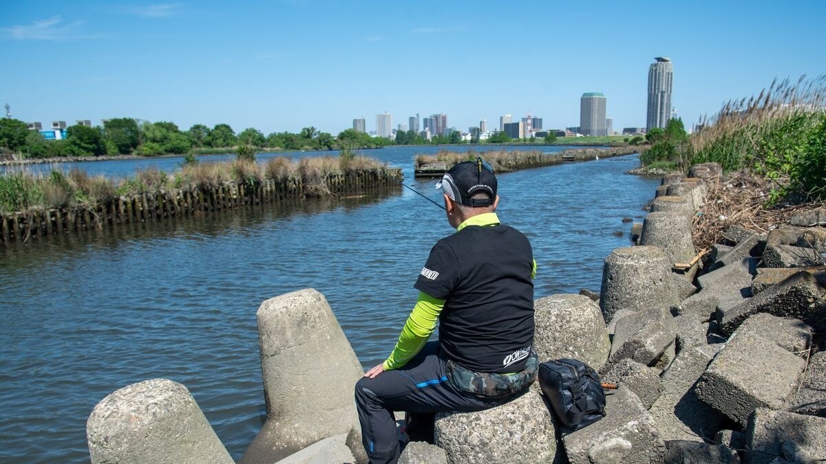 沖に並んだ木枠で蛇篭を囲んだ堤が本流からの強い流れと浮遊物をシャットアウトして釣りやすく、これはいいところを見つけたと思ったが反応なし