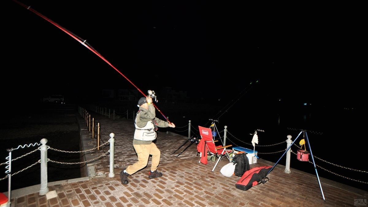 夜の防波堤でキジハタをねらう投げ釣りの様子