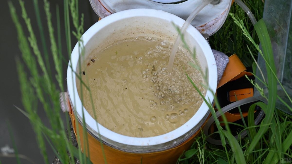釣ったタナゴはエアレーション付きの桶にストックして魚体のケアにも配慮