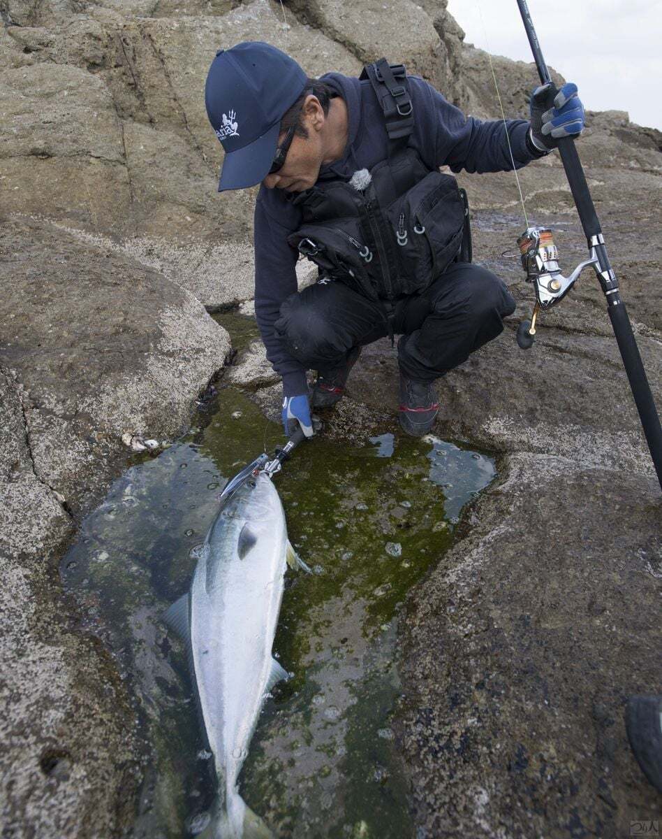 血抜きした魚を洗ったり一時的に保管するのにタイドプールを利用するのも手。ない場合もあるのでストリンガーも用意しておきたい