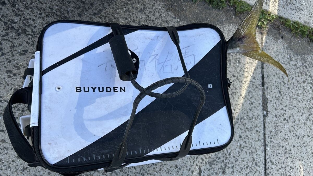 クーラーボックスは荷物になってしまうなら大きめのバッカンがあると、冷やした状態で釣果を入れて持ち帰ることもできる