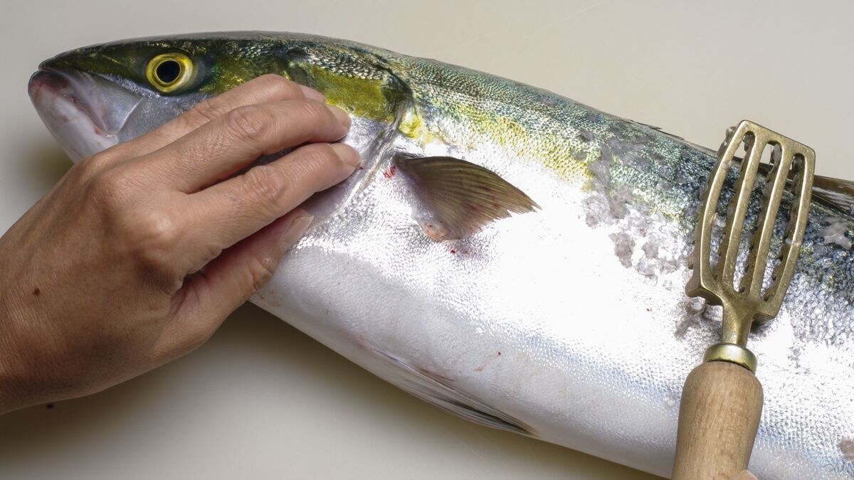 磯の現場で可能な限りの最善の手当てをして持ち帰った大きな青物をしっかり最後までいただく。その過程にその人の生きる姿勢が出るように思えてならない