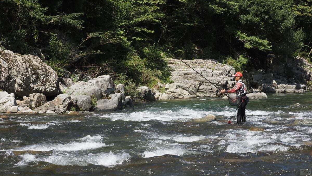 波や泡立ちのひとつひとつに丁寧にオトリを通していく。高比重な単線系メタルに背バリを使いオトリを川底に馴染ませる