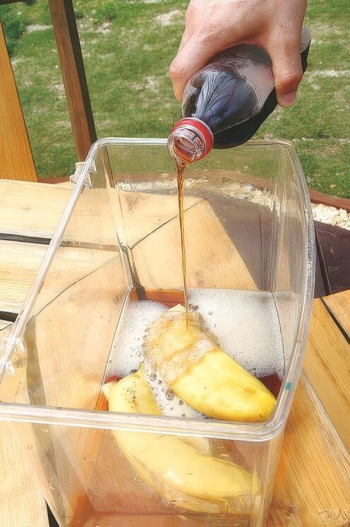 容器に少し潰したバナナを入れ、焼酎をコップ1杯ほど注ぐ。隠し味（？）としてコーラを入れるのもよい